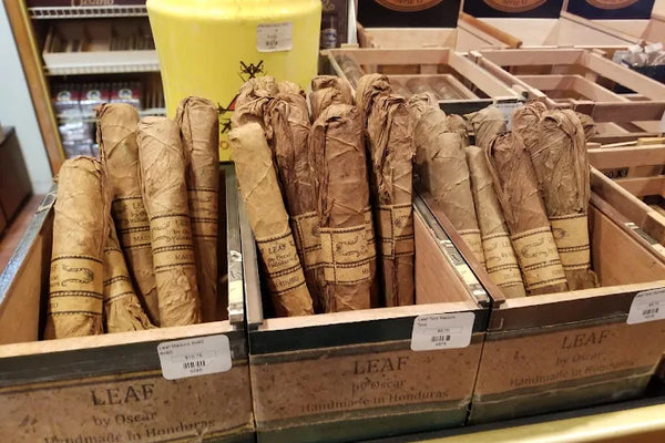 Best Cigars for Beginners: A Guide For Your First Smoke