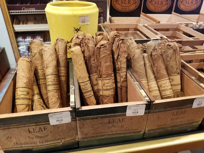 Best Cigars for Beginners: A Guide For Your First Smoke