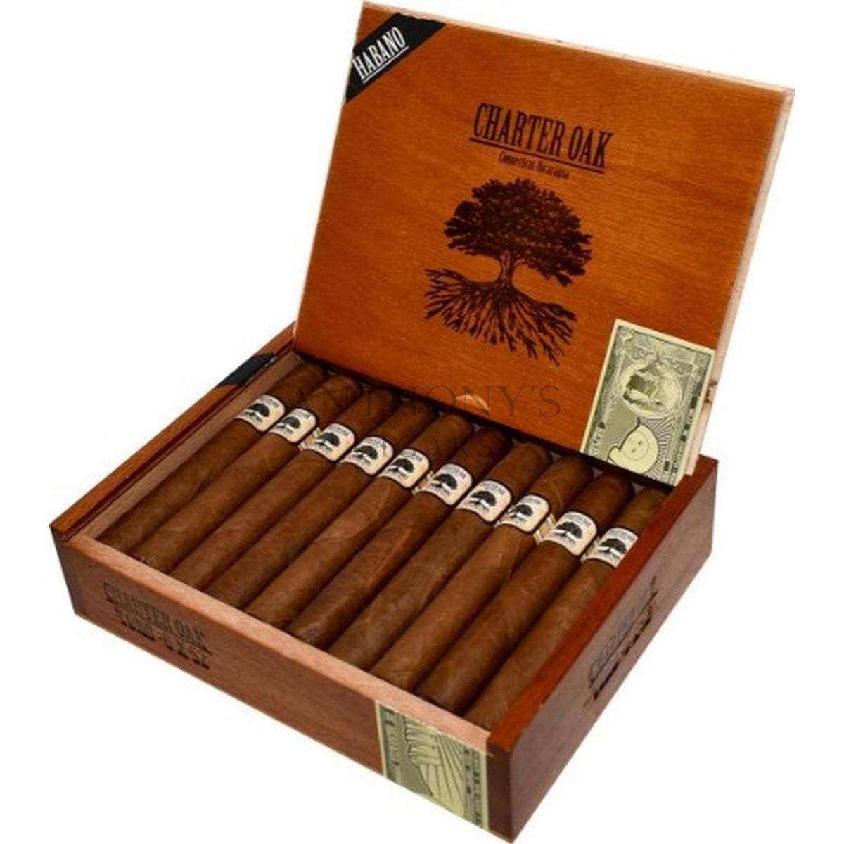 Foundation Charter Oak Habano Cigars