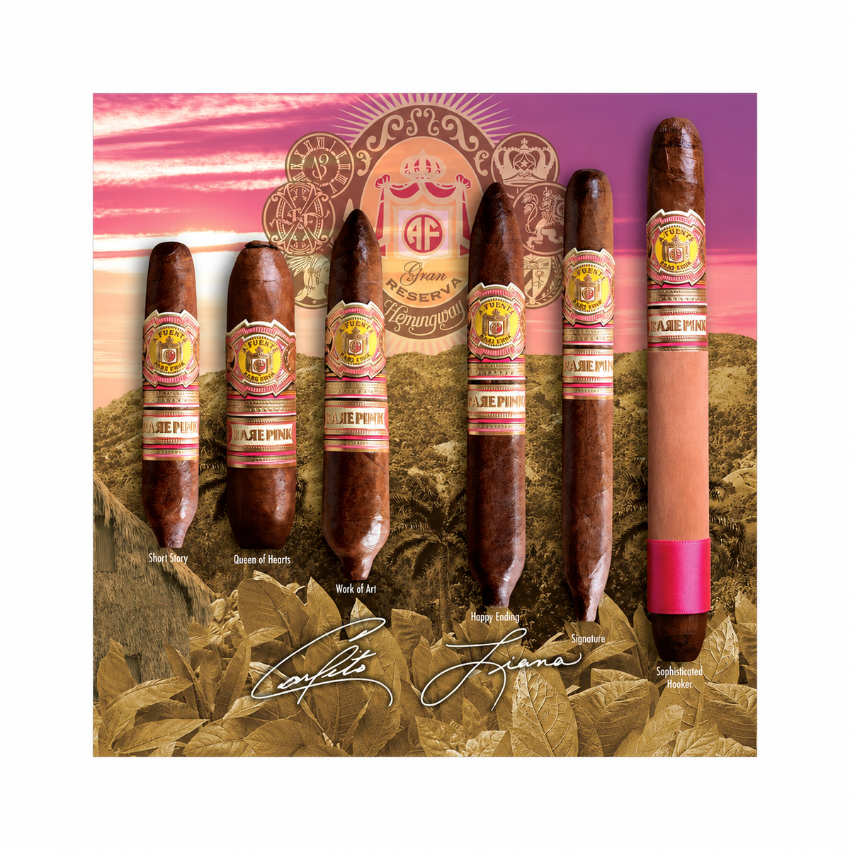 Arturo Fuente Rare Pink Work of Art 5 Pack cigar shape chart