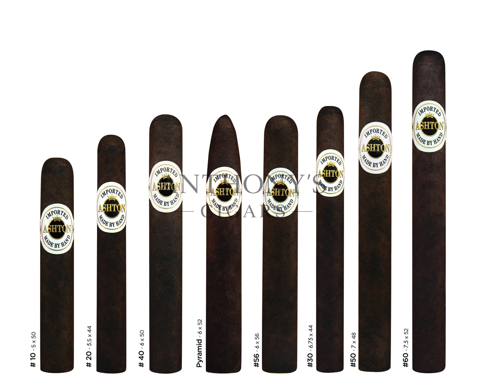 Ashton Aged Maduro