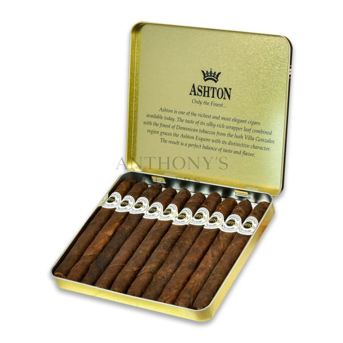 Ashton Classic Esquire Maduro 10ct - Open Box