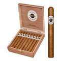 Ashton Classic Prime Minister - Open Box