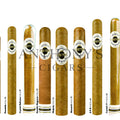 Ashton Classic Majesty