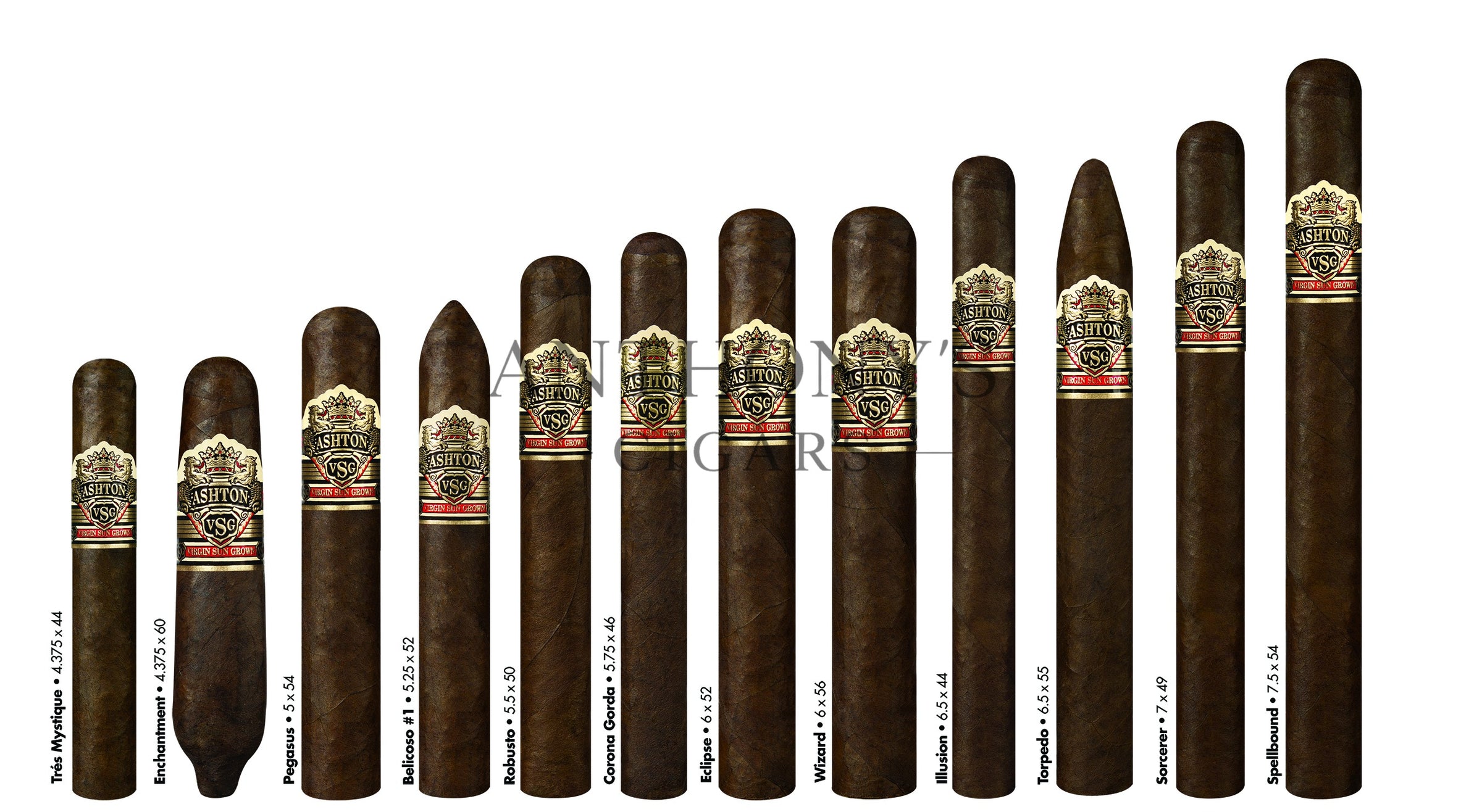 Ashton VSG