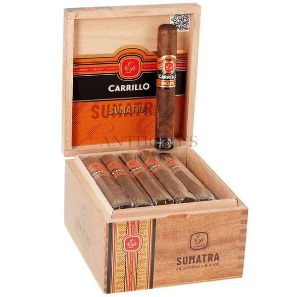 Casa Carrillo Essence Sumatra Gordo - Open Box