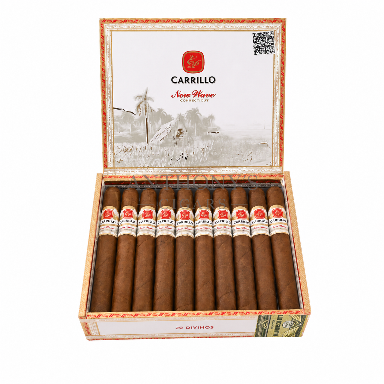 Casa Carrillo New Wave Connecticut