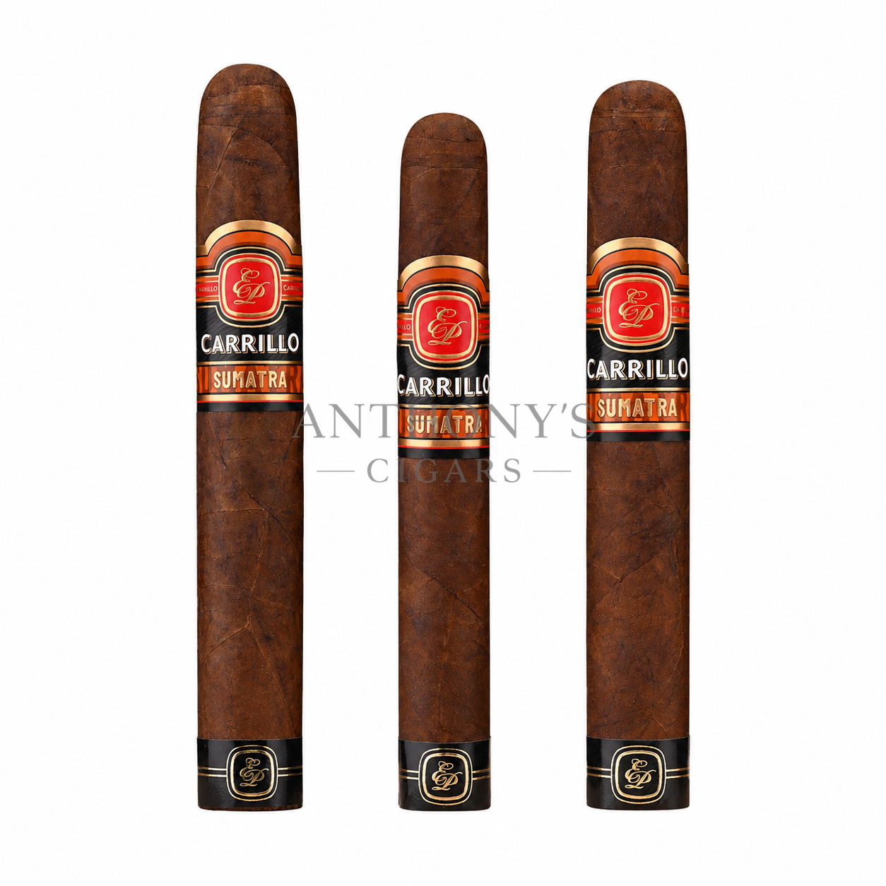 Casa Carrillo Essence Sumatra