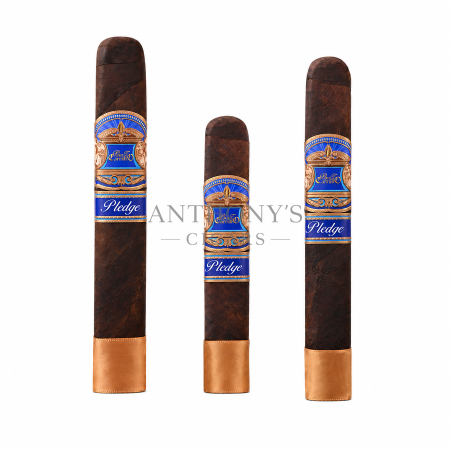 Casa Carrillo Pledge Prequel