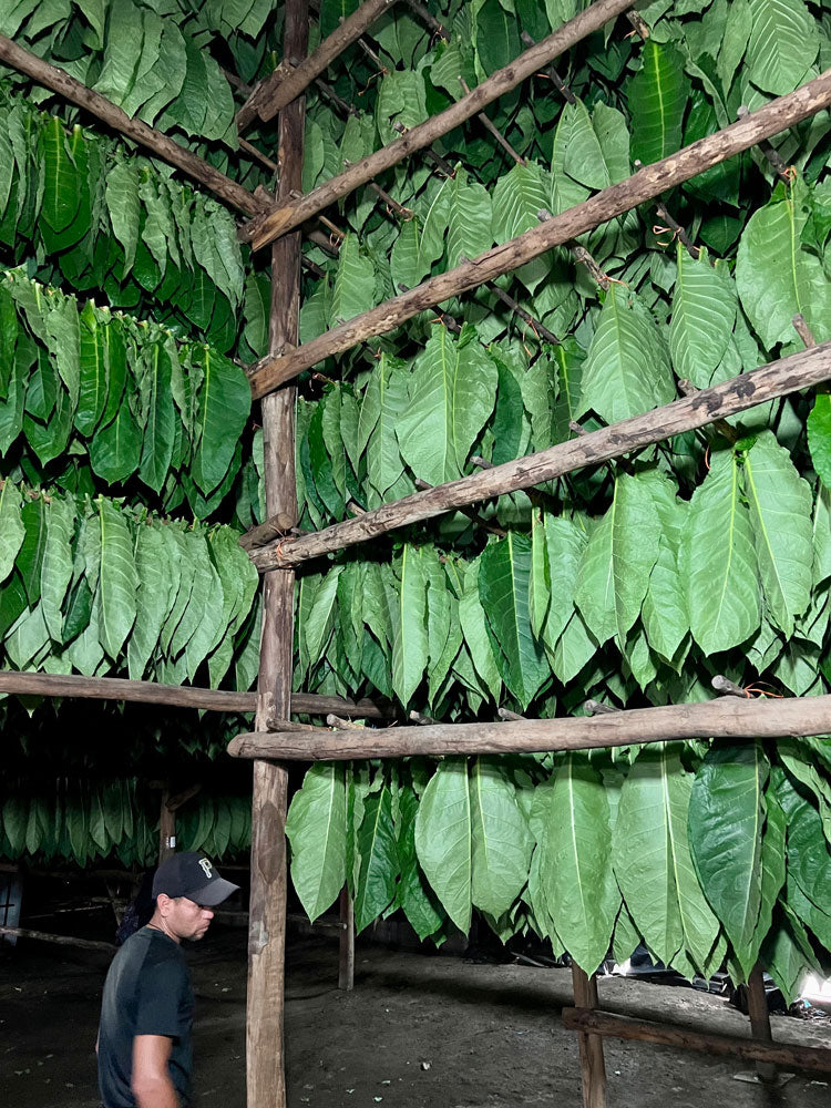 My Father