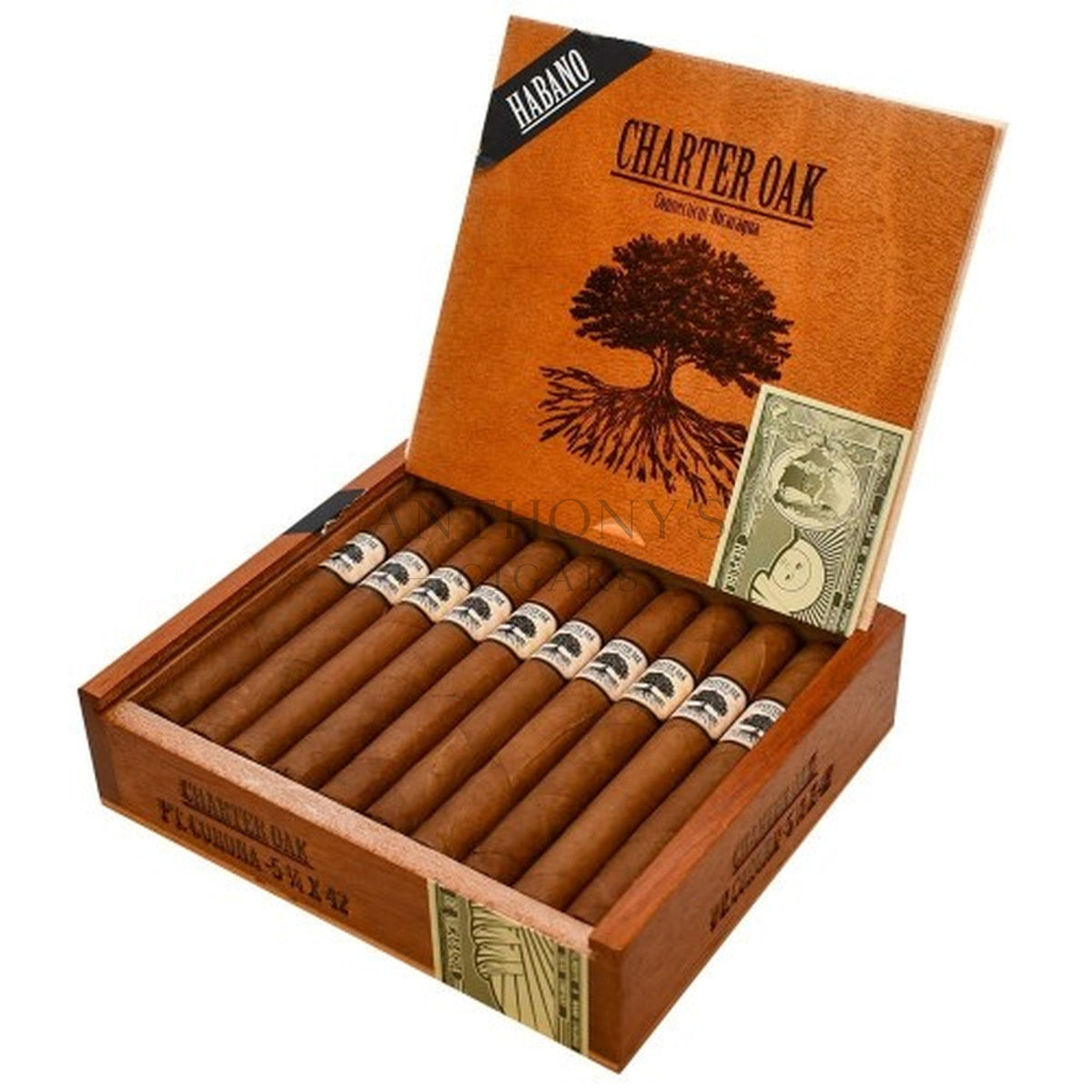Foundation Charter Oak Habano Petite Corona - Open Box