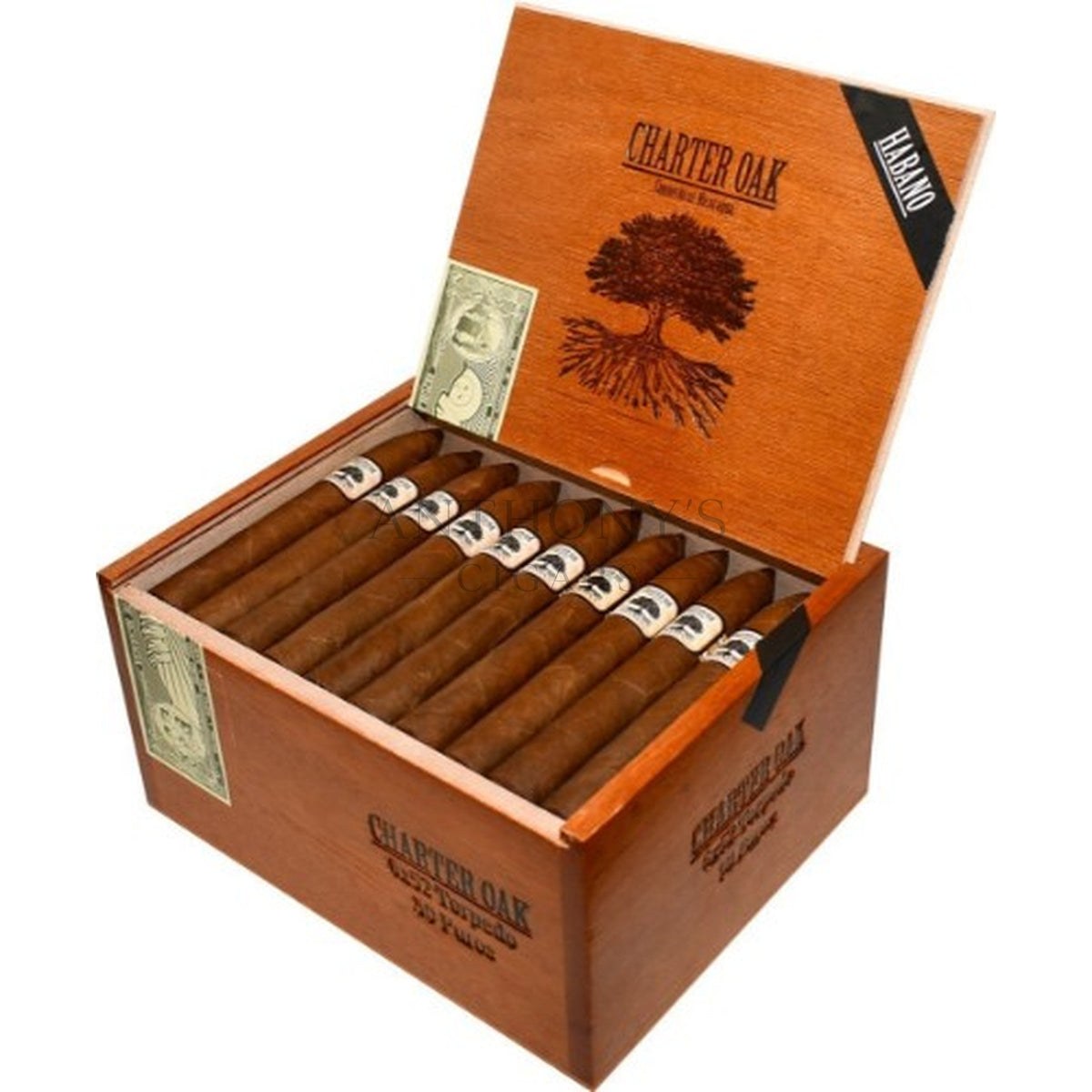 Foundation Charter Oak Habano Torpedo - Open Box