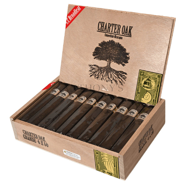 Foundation Charter Oak Maduro Grande - Open Box