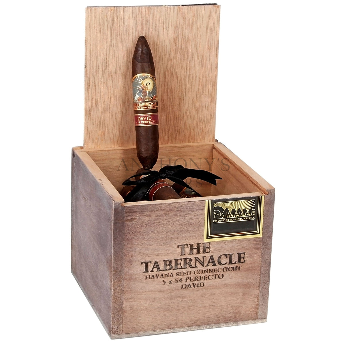Foundation Tabernacle David and Goliath David Havana CT-142 - Open Box