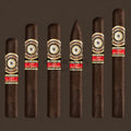Perdomo 20th Anniversary Maduro Robusto