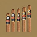 Perdomo Double Aged 12 Year Vintage Connecticut Epicure