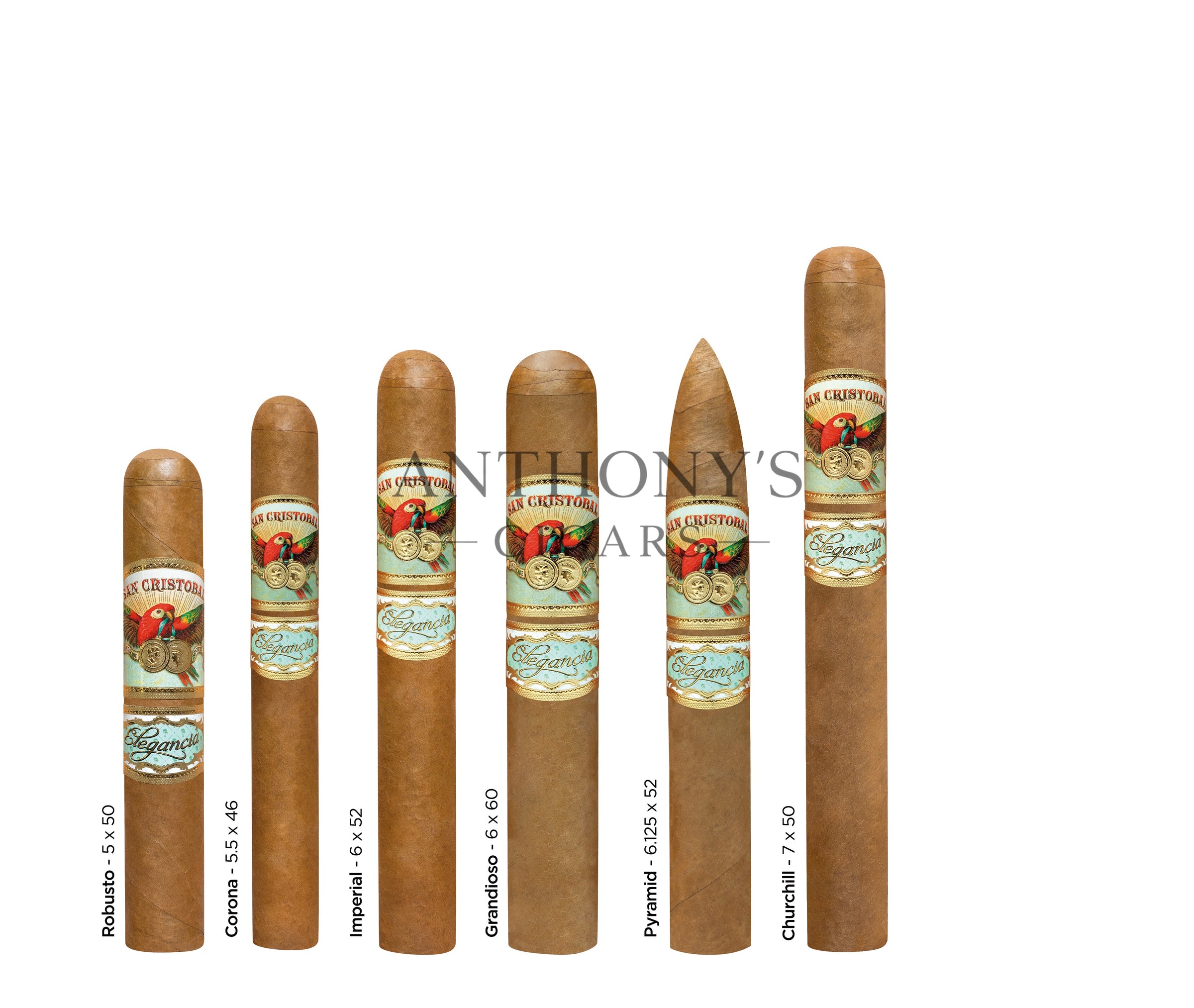 San Cristobal Elegancia