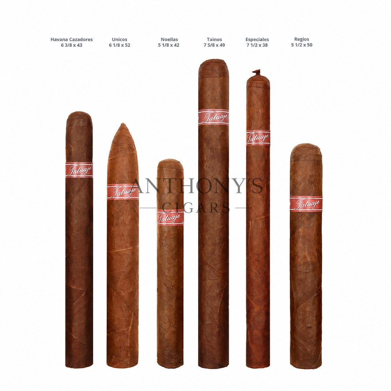 Tatuaje Made in Miami