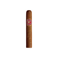 Arturo Fuente Especiales Conquistador single cigar