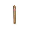 Arturo Fuente Gran Reserva Brevas Royale single cigar