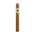 Ashton Classic Prime Minister single cigar