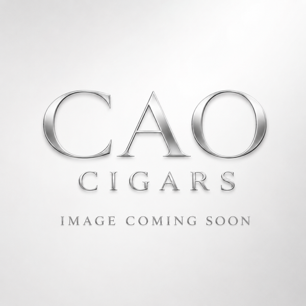 CAO Steel Horse Roadkill