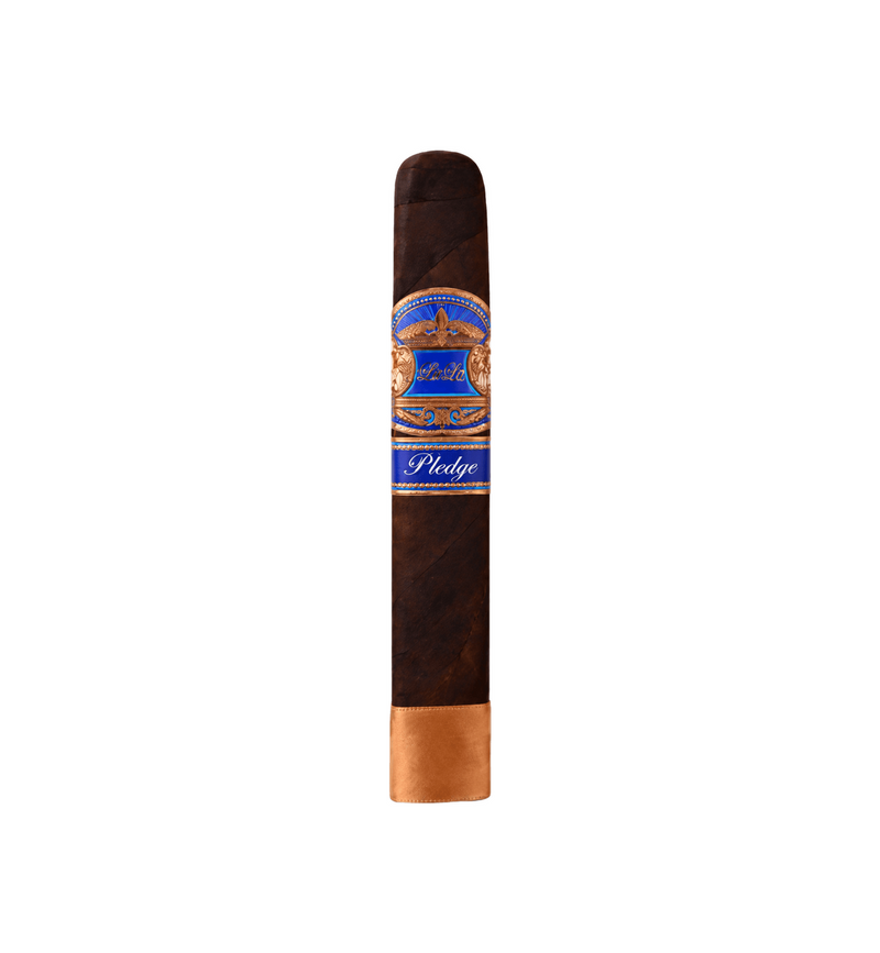 Casa Carrillo Pledge Apogee
