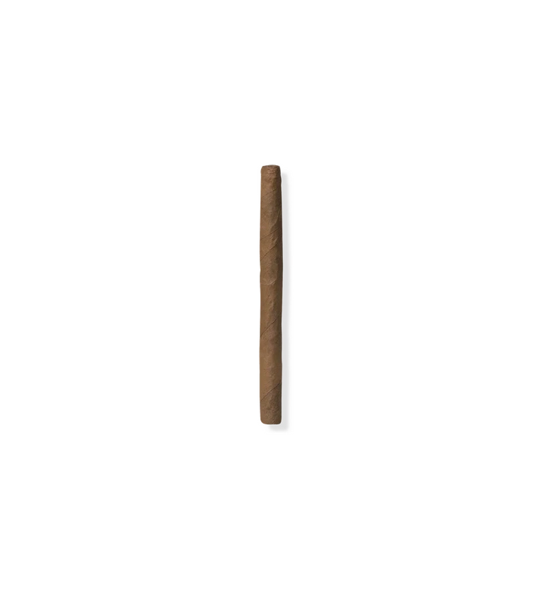 Davidoff Cigarillos Mini Cigarillos Gold 50ct box