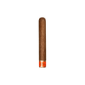 Oliva Cain Daytona 543 single cigar