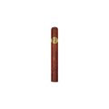 Padron Series Cortico Box Natural single cigar