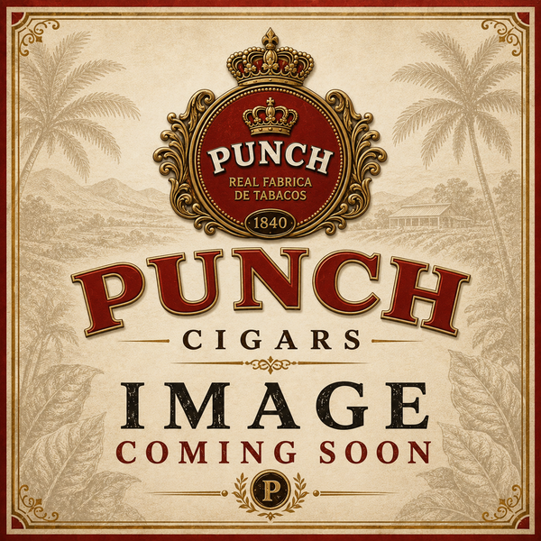 Punch Rare Corojo Rothchild