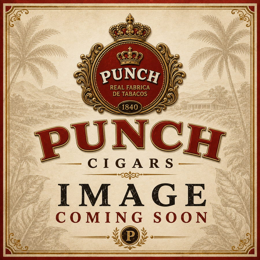 Punch Rare Corojo Rothchild